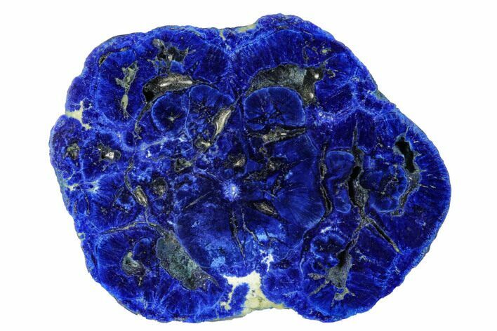 Vivid Blue, Cut/Polished Azurite Nodule - Siberia #175566